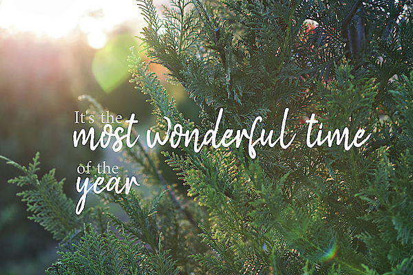 It's the most wonderful time of the year 2 by Andrea Anderegg It's the most wonderful time of the year 2 by Andrea Anderegg
